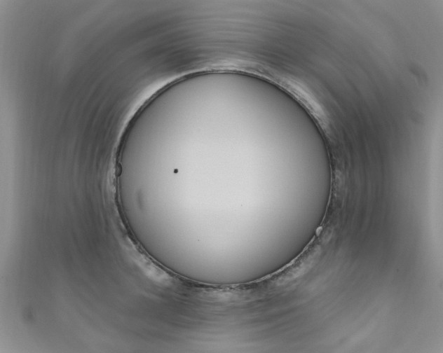 X0000111020948200907022156
