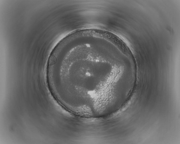 X0000111020949200907022156