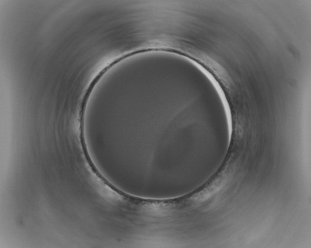 X0000111020950200907022156