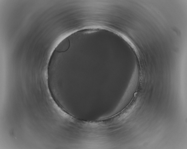 X0000111020951200907022156