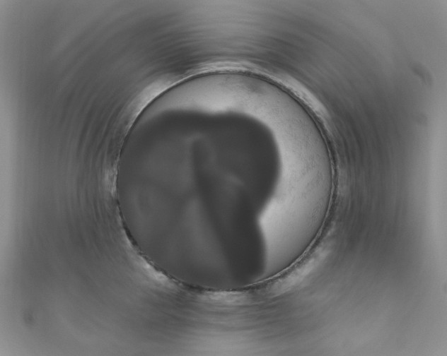 X0000111020953200907022156