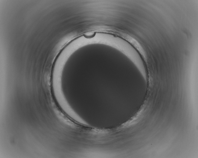X0000111020954200907022156