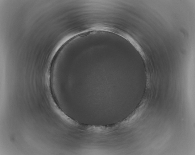 X0000111020955200907022156