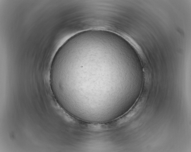 X0000111020956200907022156
