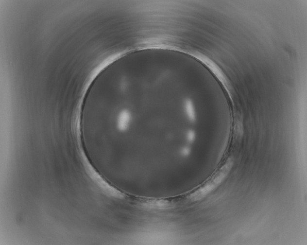 X0000111020957200907022156