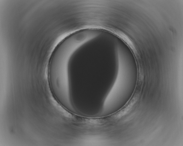 X0000111020958200907022156