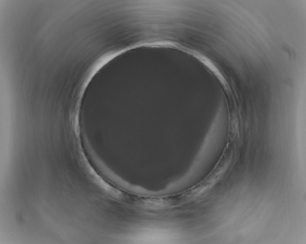 X0000111020959200907022156