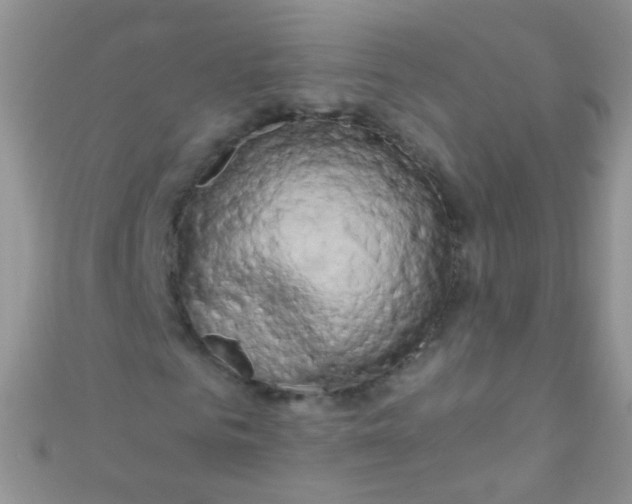 X0000111020961200907022155