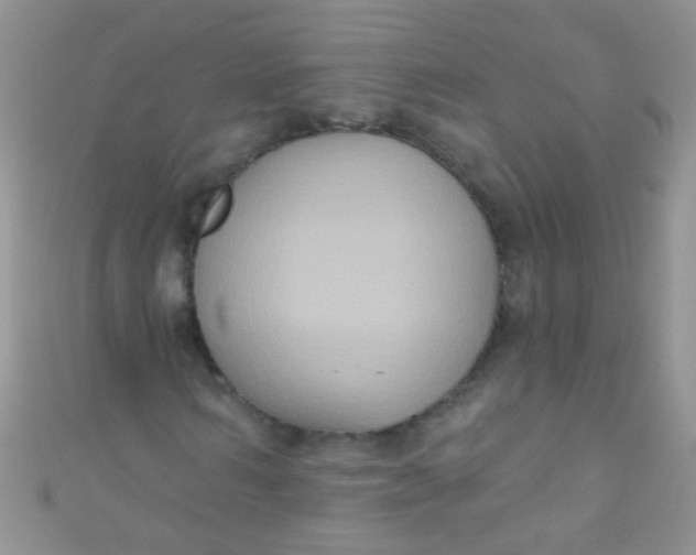 X0000111020962200907022155