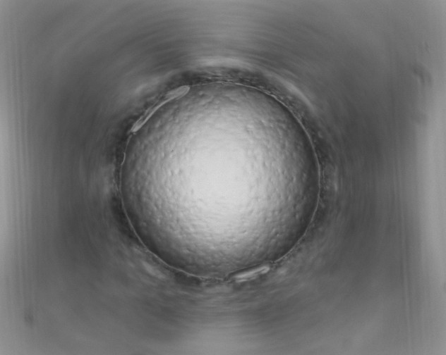 X0000111020965200907022155