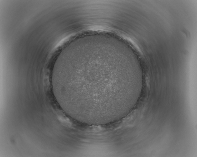 X0000111020968200907022155