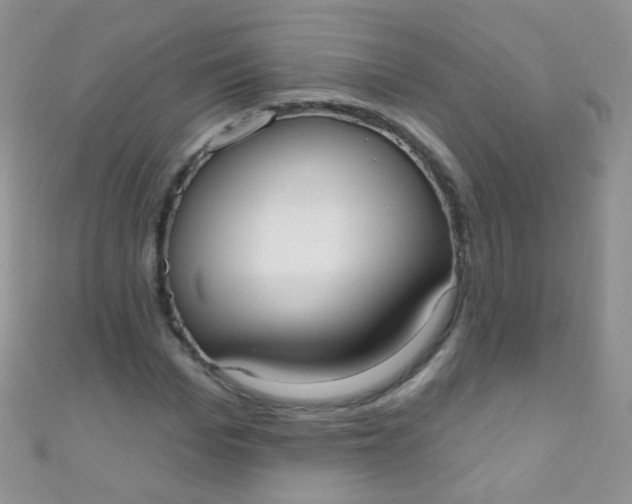 X0000111020969200907022155