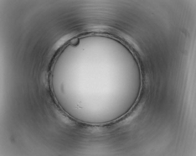 X0000111020970200907022155
