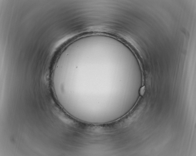X0000111020971200907022155