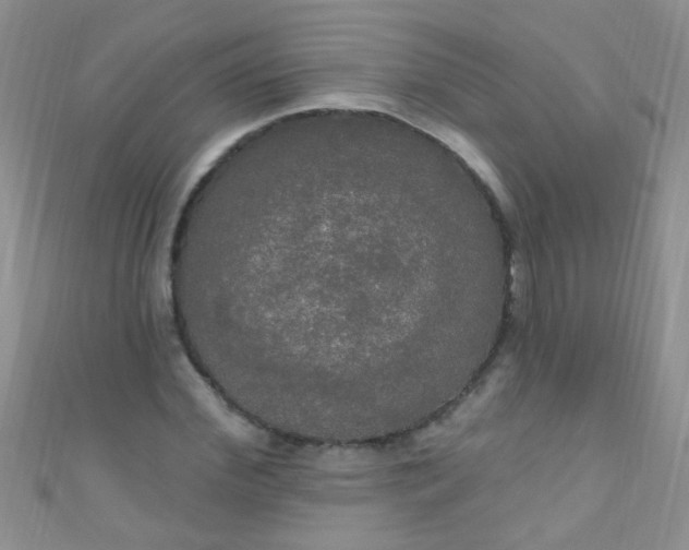 X0000111020972200907022155