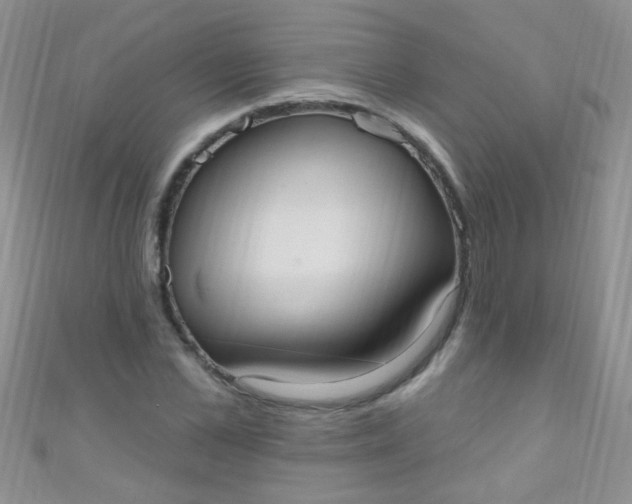 X0000111020973200907022155