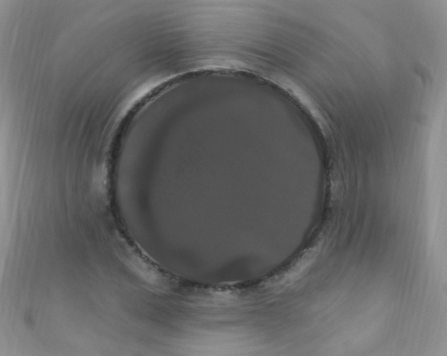 X0000111020975200907022155