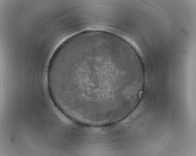 X0000111020976200907022155