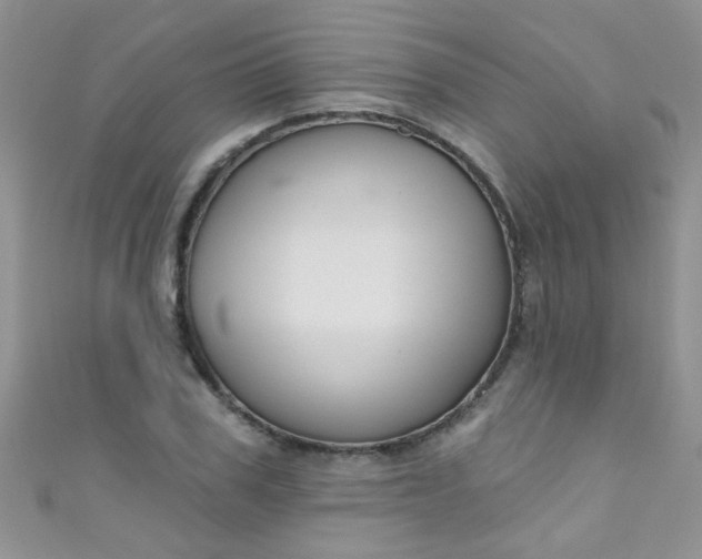 X0000111020979200907022155