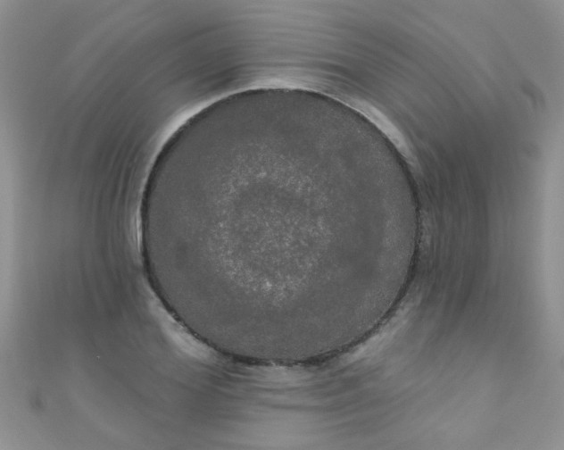 X0000111020980200907022155