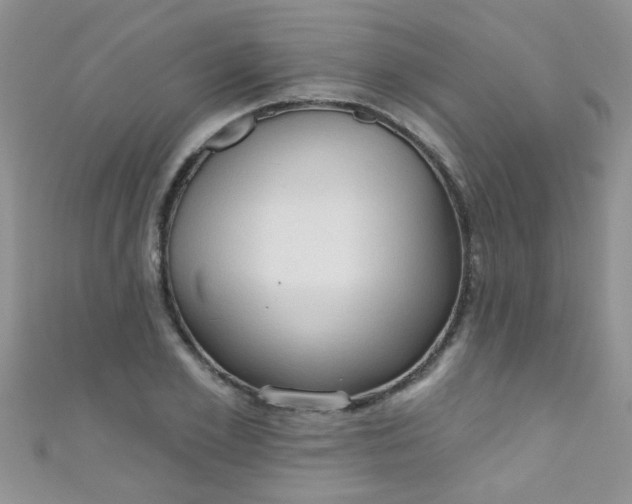 X0000111020981200907022155