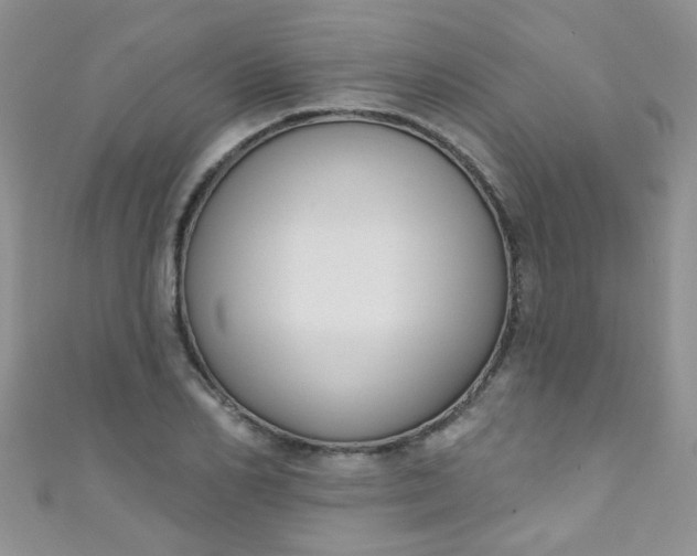 X0000111020982200907022155