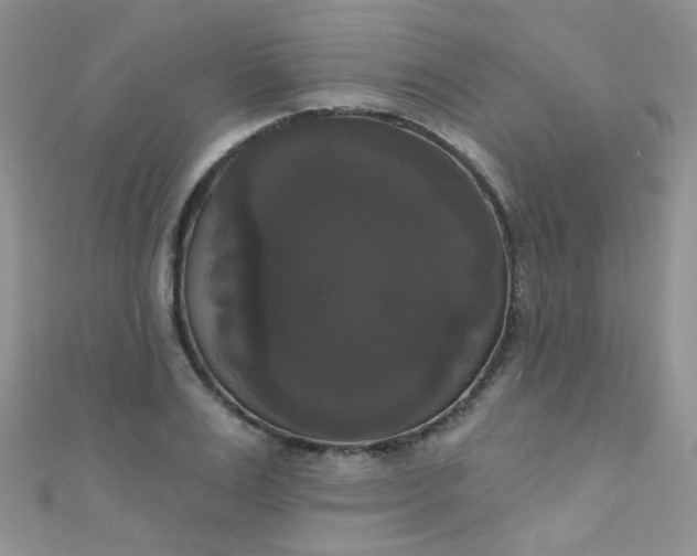 X0000111020983200907022155