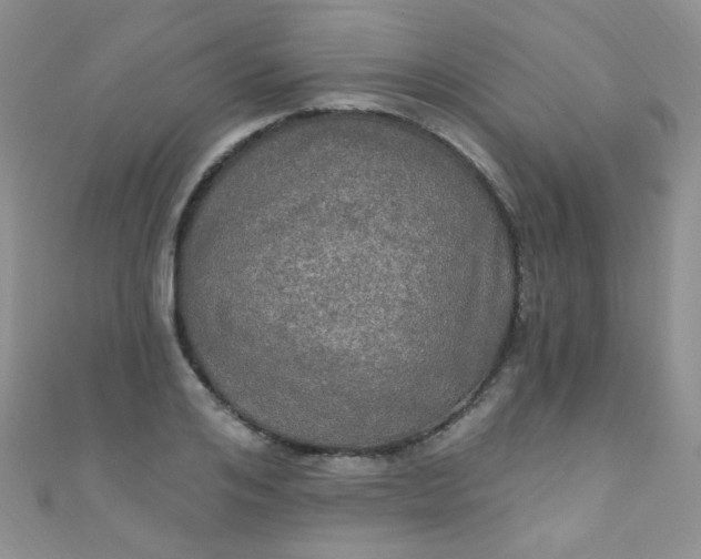 X0000111020984200907022155