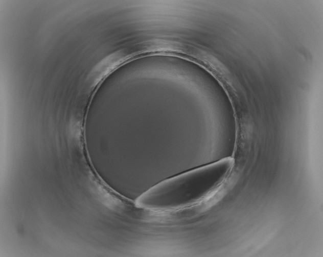 X0000111020985200907022155