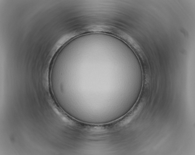 X0000111020986200907022155