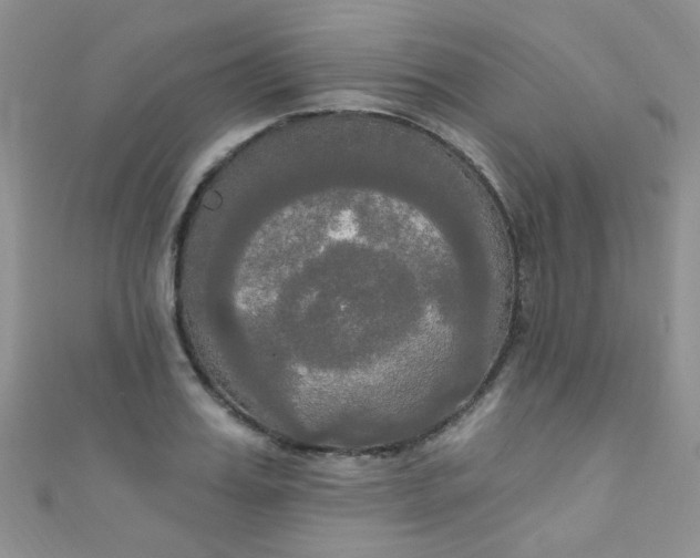 X0000111020987200907022155