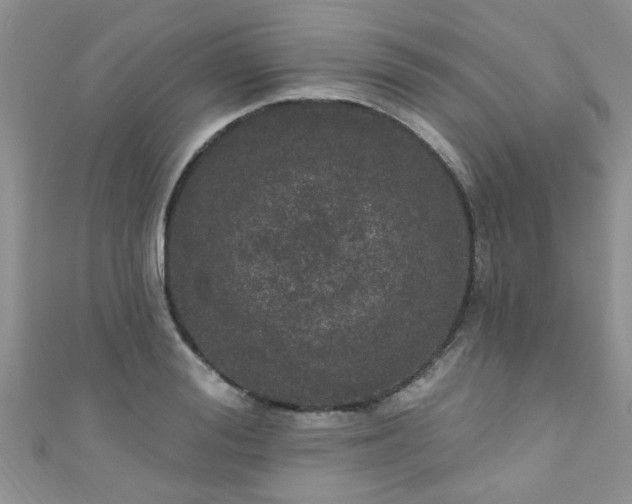 X0000111020988200907022155