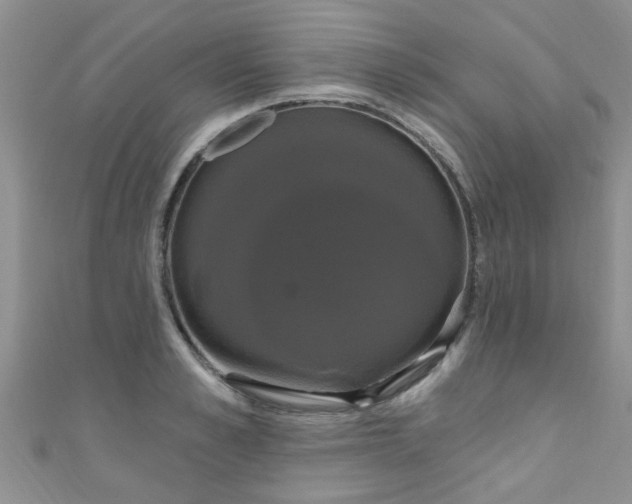 X0000111020989200907022155