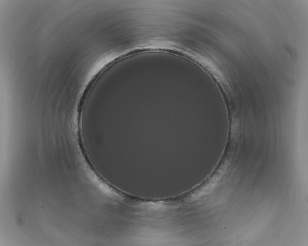 X0000111020990200907022155