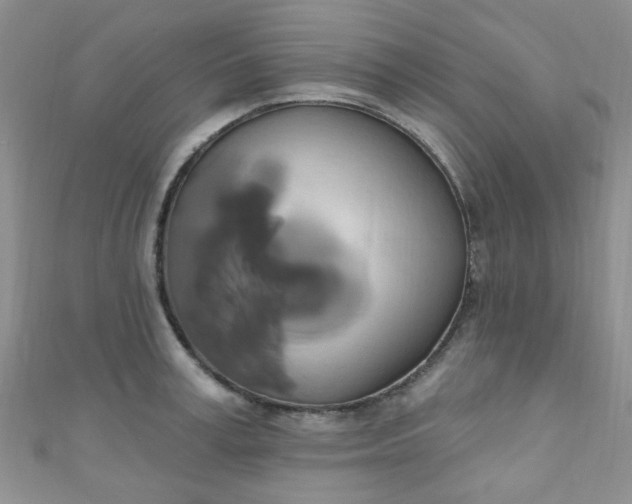 X0000111020995200907022154