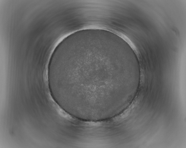 X0000111020996200907022154