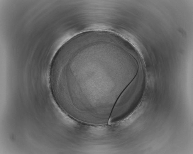 X0000111020997200907022154