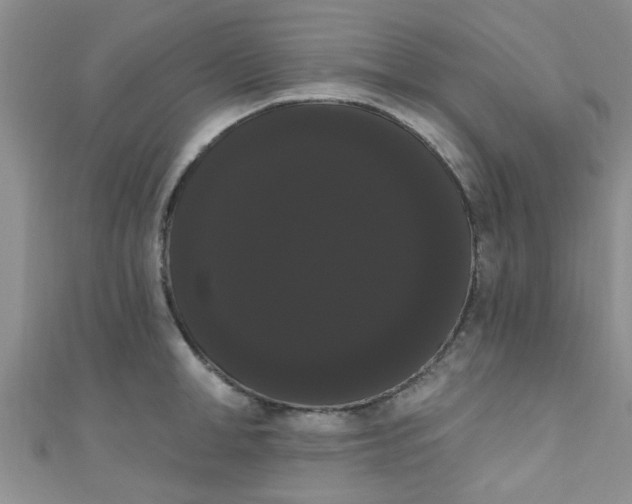 X0000111020998200907022154