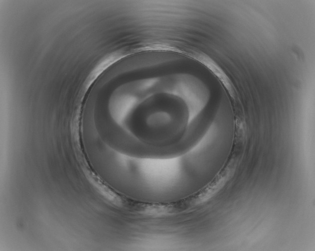 X0000111021002200907022154