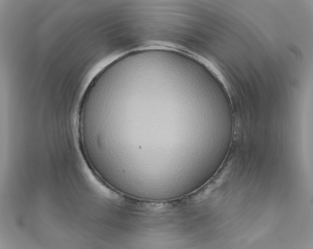 X0000111021003200907022154
