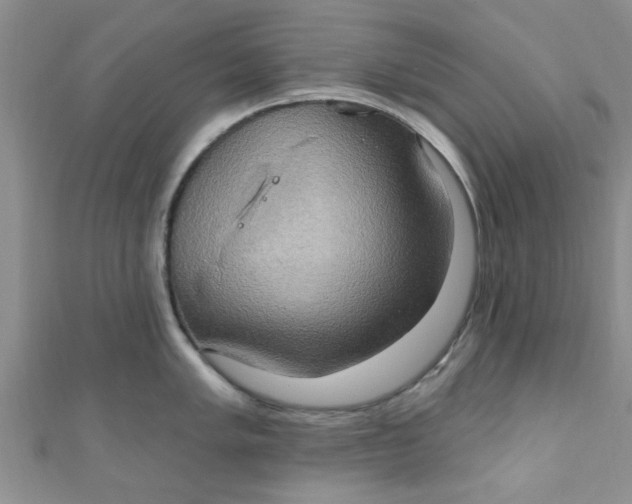 X0000111021005200907022154