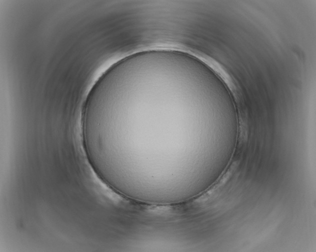 X0000111021006200907022154