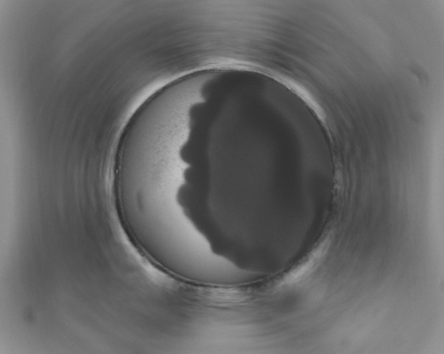 X0000111021007200907022154