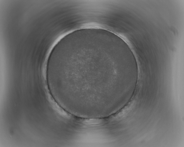 X0000111021008200907022154