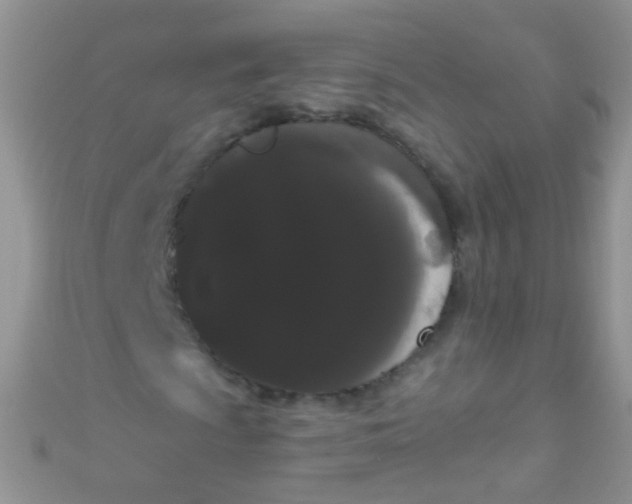 X0000111021009200907022154