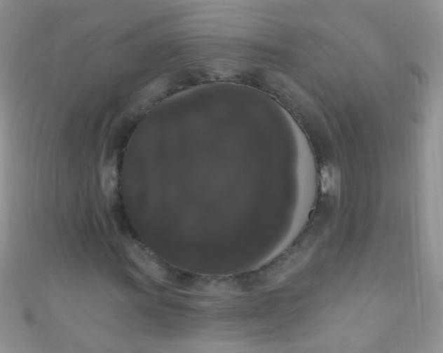X0000111021011200907022154