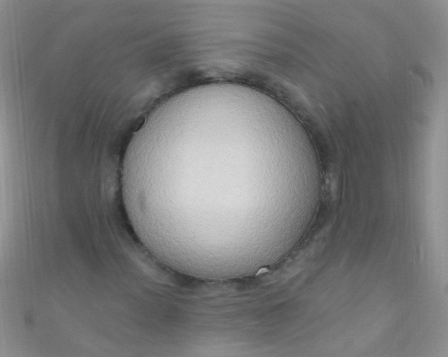 X0000111021012200907022154