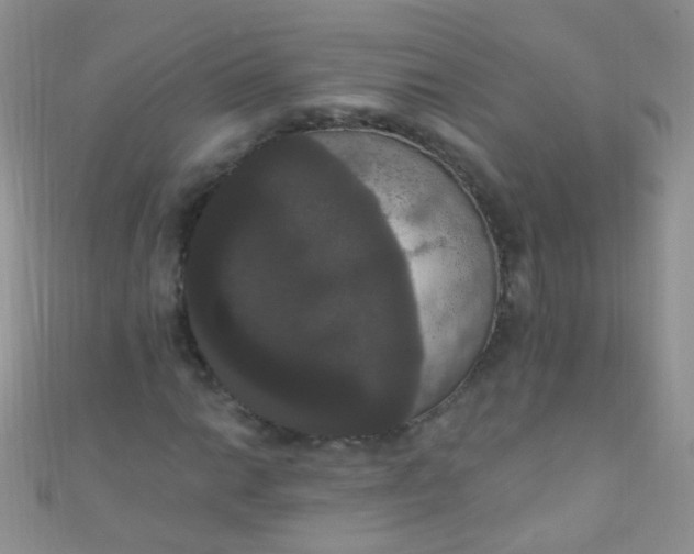X0000111021014200907022154