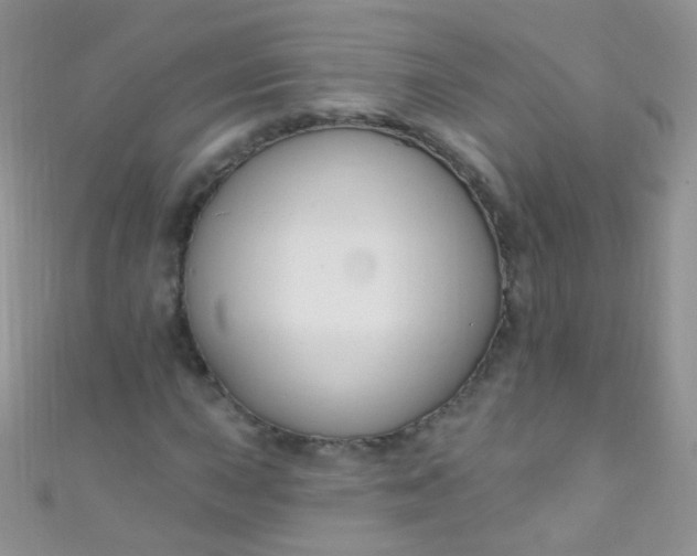 X0000111021015200907022154