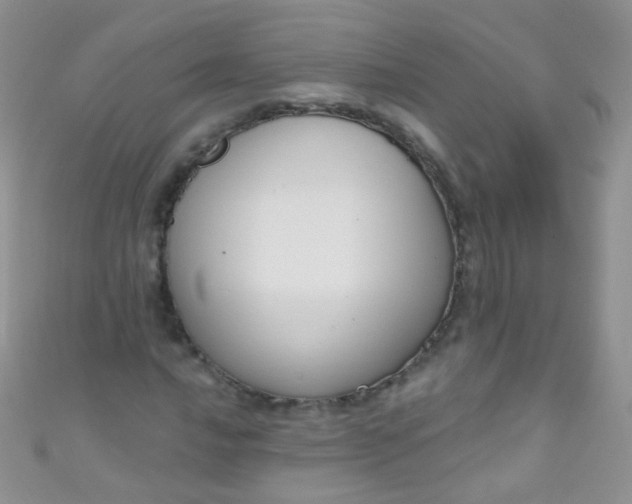 X0000111021016200907022154